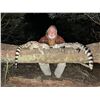 Image 2 : LLOYD SAFARIS: 5-Day Night Critter Hunt in South Africa for One Hunter and One Non-Hunter