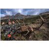 Image 1 : CAZA PLANETA: 6-Day/5-Night Cantabrian Chamois and Gredos Mountain Red Stag Hunt for One Hunter