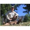 Image 3 : HUNT TRIP SPAIN: 5-Day European Roe Deer Hunt with Sightseeing in Spain