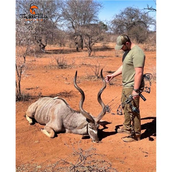 THABA THALA SAFARIS: Incredible 10-day South African Safari for One Hunter for Impala, Warthog, Duik