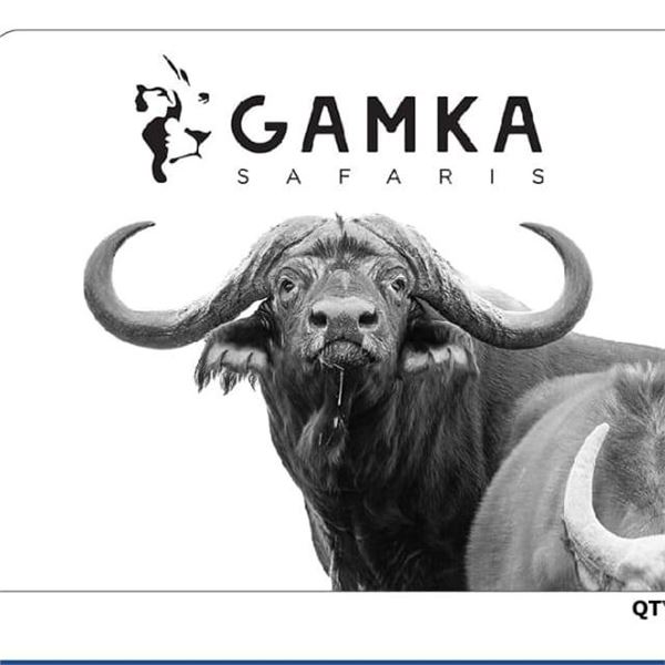 GAMKA SAFARIS: Exhilarating 7-Day Buffalo Hunt for Two Hunters