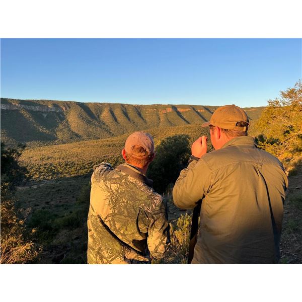 DUBULA HUNTING SAFARIS: 6-Day African Hunting Safari for Two Hunters in the Eastern Cape of South Af