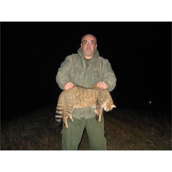 SAFARI EHA: Exciting Jackal hunt for Two Hunters in Serbia