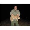 Image 1 : SAFARI EHA: Exciting Jackal hunt for Two Hunters in Serbia