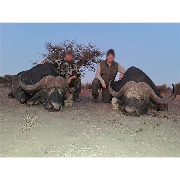 EPIC HUNTING SAFARI: 10-day Cape Buffalo and Plains/Small Game Safari for 2 Hunters and 1 Non-Hunter
