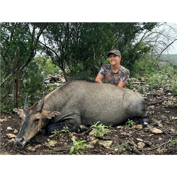 Ox Ranch and Safari Studios