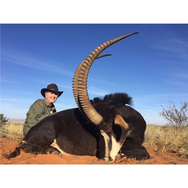 Chapungu-Kambako Safaris