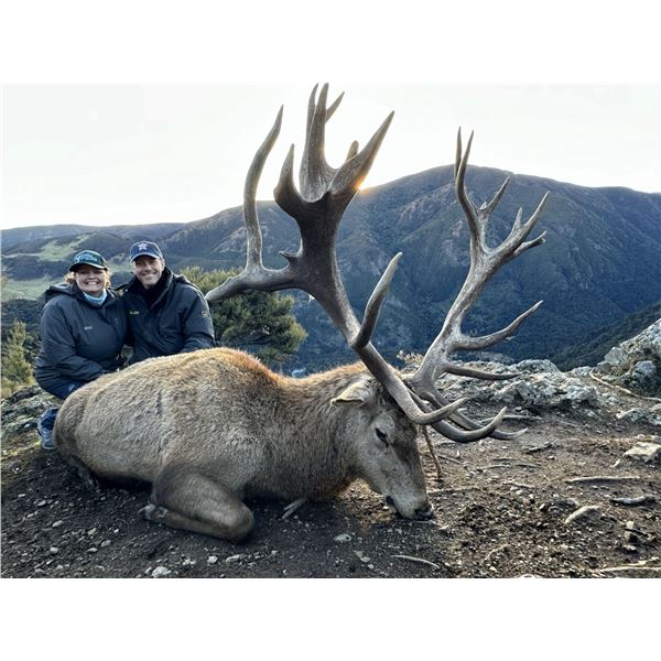 Alpine Hunting New Zealand