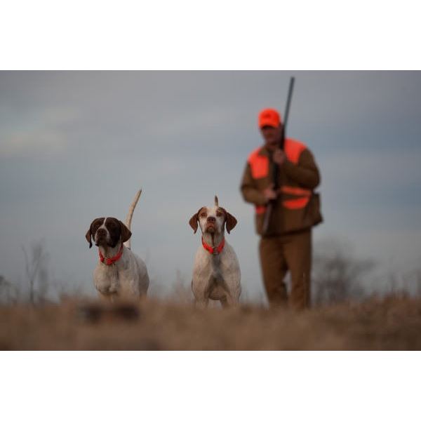 Rolling Plains Quail Research Foundation