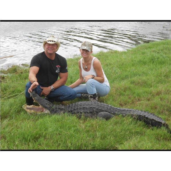 Alligator Solution & Meyer Custom Bootmakers