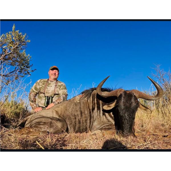 De Wet African Safaris