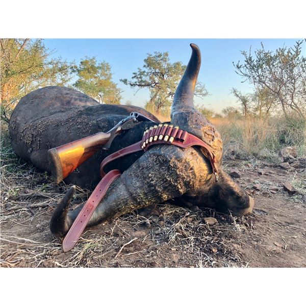 McDonald Safaris and Royal Thabane Lodge