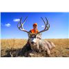 Image 1 : Colorado 5 day Guides Choice Colorado Mule Deer Hunt for 1 Hunter