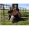 Image 1 : Missouri Spring Turkey Hunt for 1 hunter and 1 non hunter
