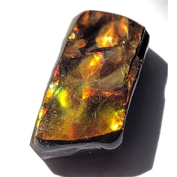 9)  NATURAL ORANGE/GREEN/YELLOW FIRE AMMOLITE