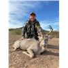 Image 2 : 4-day Mexico Coues Deer Hunt for One Hunter
