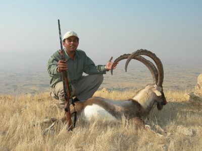 Pakistan Hunter 4-day Pakistan Sindh Ibex Hunt for One Hunter