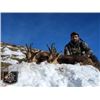Image 2 : 5-day Spain Pyrenean Chamois Hunt for Two Hunters and Two Non-Hunters