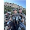 Image 2 : 5-day Spain Big Game Hunt and "Old Madrid" Day Tour for One Hunter and One Non-hunter