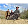 Image 2 : 5-day Italy Wild Boar Hunt for Two Hunter and Two Non-Hunters