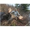 Image 2 : 5-day British Columbia Western Canada Bear, Moose, Wolf Hunt for one Hunter