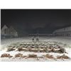 Image 2 : 3-day France Wild boar, Roe deer, Pheasant and Grey Partridge hunt for Two Hunters