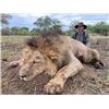 Image 1 : 21-Day Mozambique Exportable Lion Hunt for One Hunter and One Non Hunter