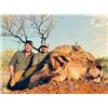 Image 2 : 21-Day Mozambique Exportable Lion Hunt for One Hunter and One Non Hunter
