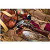 Image 2 : 2-night/3-day South Dakota Pheasant Hunt for two Shooters