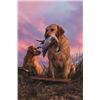 Image 2 : 2-day Bird Hunt Experience for 3 Hunters and 4 Non Hunters