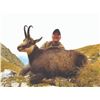 Image 2 : 311 #LUN-11 Alpine Chamois Hunt, France