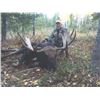 401 #DIN-01 Wyoming Shiras Moose  Governor’s Permit