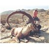 Image 2 : 403 #DIN-03 Sindh Ibex Hunt, Pakista