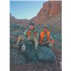 407 #DIN-07 Desert Sheep (Nelsoni) Tag, Navajo Nation