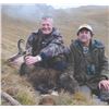 411 #DIN-11 Hunter’s Choice of Carpathian,  Balkan, or Alpine Chamois  or Sika Deer Hunt, E