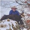 Image 2 : 411 #DIN-11 Hunter’s Choice of Carpathian,  Balkan, or Alpine Chamois  or Sika Deer Hunt, E