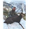 Image 3 : 411 #DIN-11 Hunter’s Choice of Carpathian,  Balkan, or Alpine Chamois  or Sika Deer Hunt, E