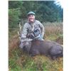 Image 6 : 411 #DIN-11 Hunter’s Choice of Carpathian,  Balkan, or Alpine Chamois  or Sika Deer Hunt, E