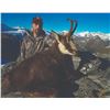 Image 2 : 412 #DIN-12 Exclusive 4-Day 1x1 Tahr and Chamois Hunt in New Zealand