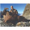 Image 3 : 412 #DIN-12 Exclusive 4-Day 1x1 Tahr and Chamois Hunt in New Zealand