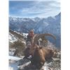 414 #DIN-14 Bukharan Ibex Hunt, Tajikistan