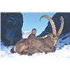Image 4 : 414 #DIN-14 Bukharan Ibex Hunt, Tajikistan