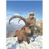 Image 5 : 414 #DIN-14 Bukharan Ibex Hunt, Tajikistan