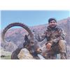 Image 7 : 414 #DIN-14 Bukharan Ibex Hunt, Tajikistan