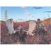 Image 7 : 418 #DIN-18 World Class Alaska-Yukon Trophy  Moose Hunt, Yukon