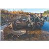 Image 8 : 418 #DIN-18 World Class Alaska-Yukon Trophy  Moose Hunt, Yukon