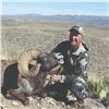 Image 3 : 421 #DIN-21 Desert Bighorn Sheep (Mexicana) Hunt, Mexico