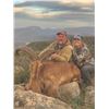 Image 2 : 424 #DIN-24 Indigenous Aoudad Hunt, Morocco