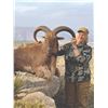 Image 5 : 424 #DIN-24 Indigenous Aoudad Hunt, Morocco