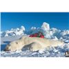 Image 5 : 426 #DIN-26 Polar Bear Hunt, Nunavut